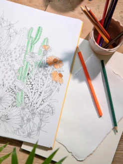 Beautiful Planet Malbuch