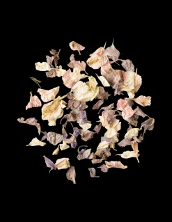 Biologisch Abbaubares Blumenkonfetti