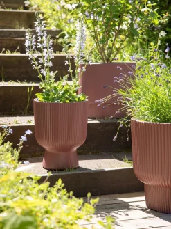 Blumentopf Milly Ø23,9 Cm