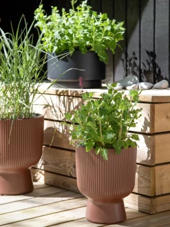 Blumentopf Milly Ø23,9 Cm