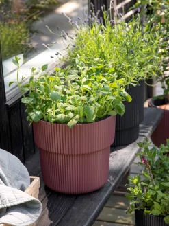 Blumentopf Milly Ø29,9 Cm