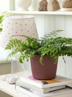 Blumentopf Milly Ø16,9 Cm