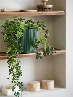 Blumentopf Milly Ø19,6 Cm