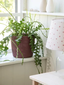 Blumentopf Milly Ø23,6 Cm