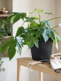 Blumentopf Milly Ø23,6 Cm