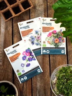 Buzzy® Bio-Trichterwinde-Mix