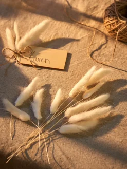 Hasenschwänzchen Zum Basteln