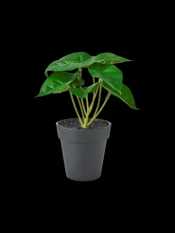 Künstliche Blume Im Topf