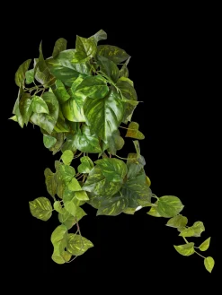 Künstlicher Pothos