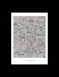 Poster Dust Rose 40 X 50