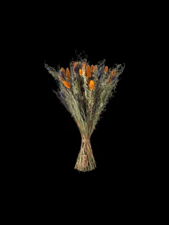 Trockenblumen Blue Klein