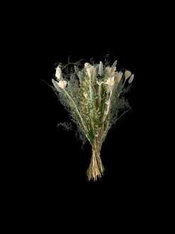 Trockenblumen Iceberg Klein