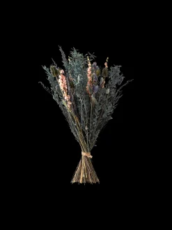 Trockenblumen Mystic Blue Medium