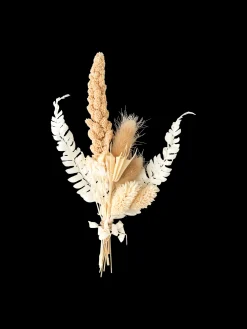 Trockenblumen Zum Basteln