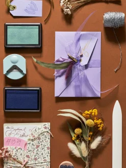 Trockenblumen Zum Basteln